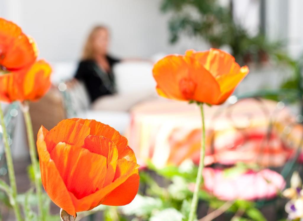 Hotel Geyer Klagenfurt am Woerthersee Ngoại thất bức ảnh
