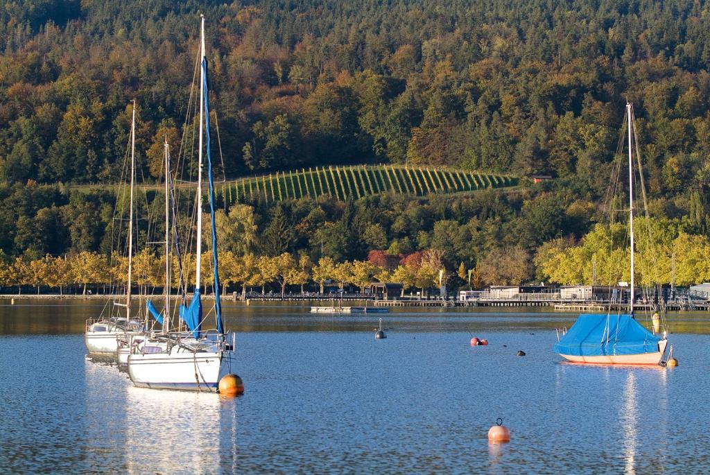 Hotel Geyer Klagenfurt am Woerthersee Ngoại thất bức ảnh